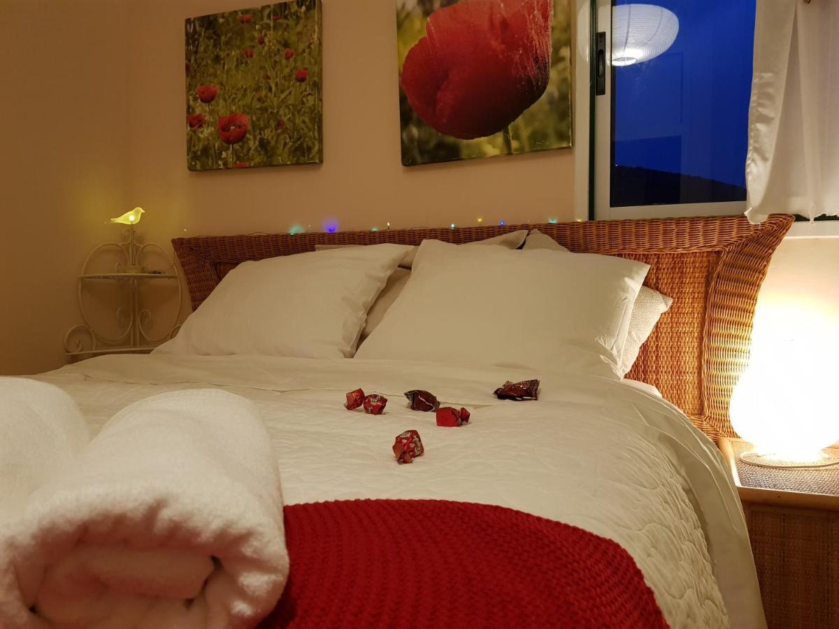 The Poppies Guest House - 100M Ocean - Private Spaces Candelaria Exteriér fotografie
