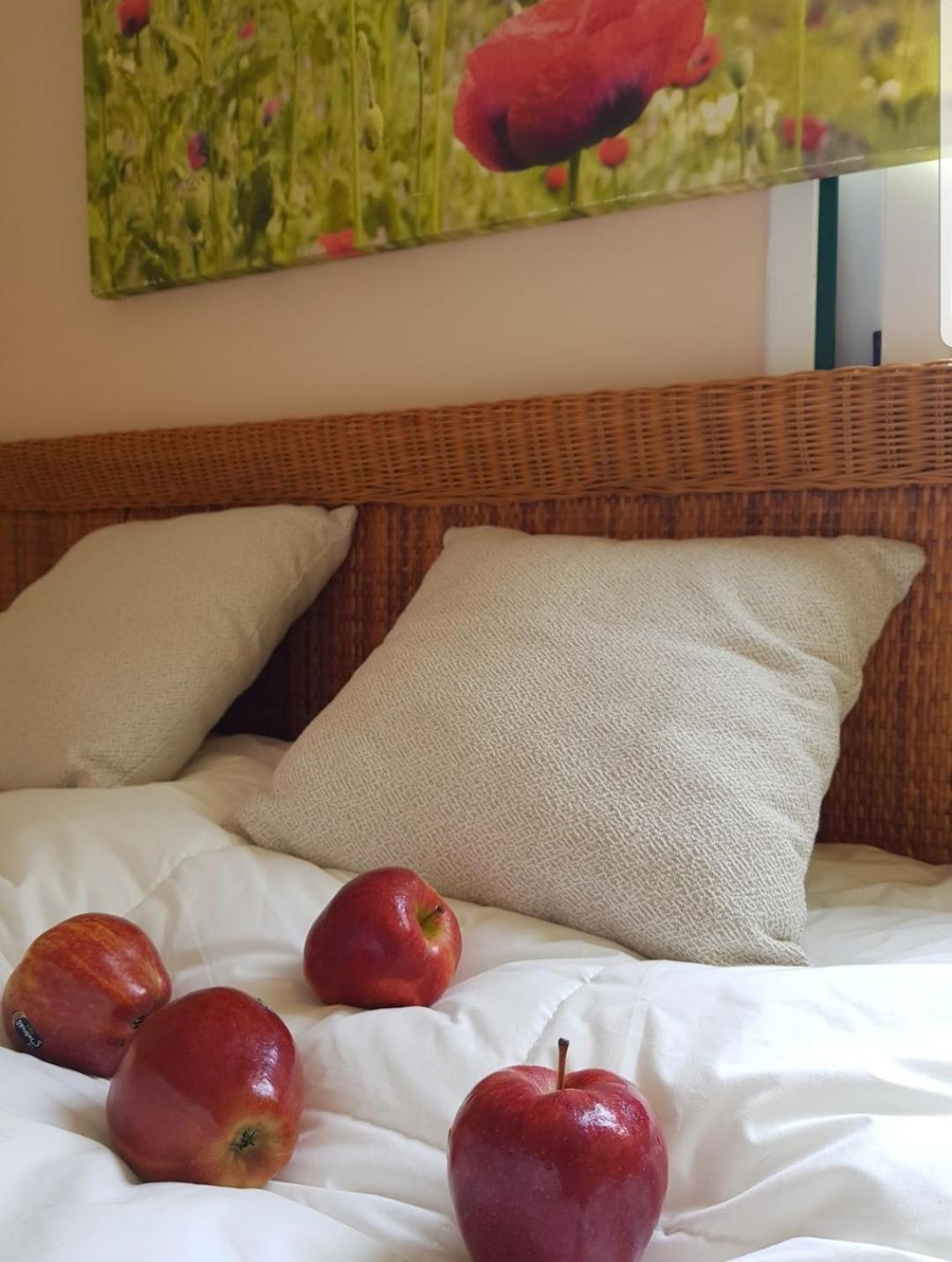 The Poppies Guest House - 100M Ocean - Private Spaces Candelaria Exteriér fotografie